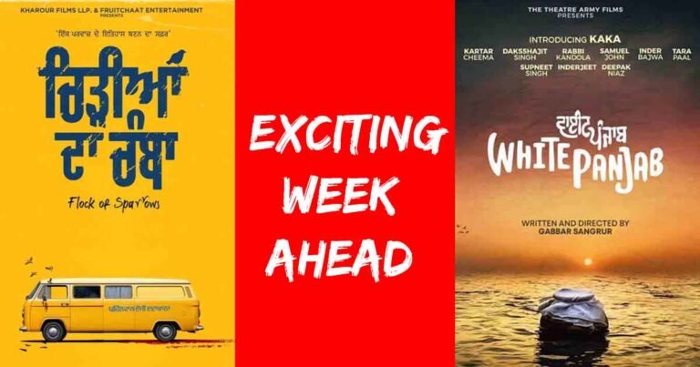 white panjab chidiyan da chamba